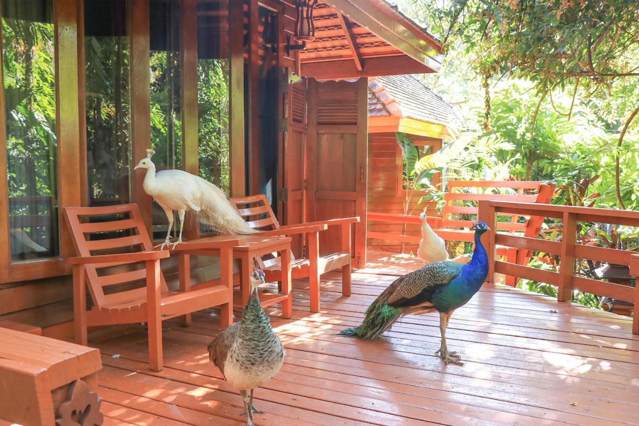 Sukantara Cascade Resort And Spa Mae Rim Exterior photo